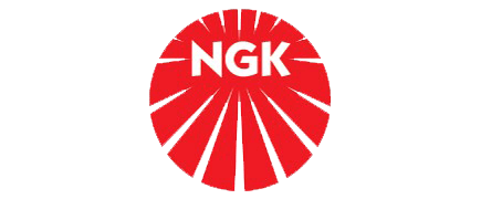 nkn-logo